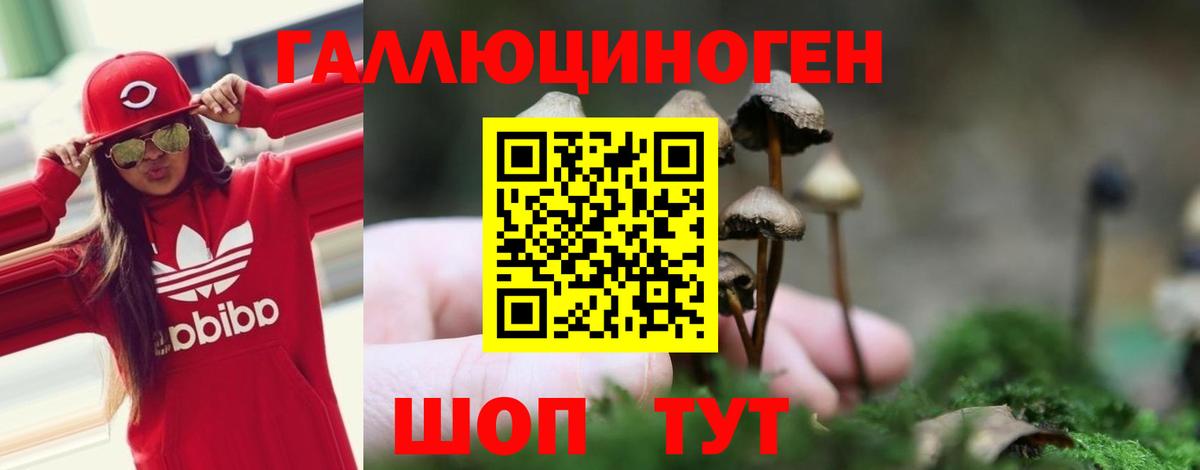 Псилоцибиновые грибы ЛСД  Вход с VPN  Галлюциногенные грибы ЛСД  Гусиноозёрск 
